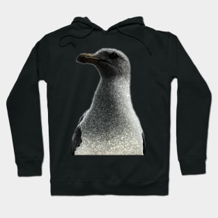 Petrified Seagull Hoodie